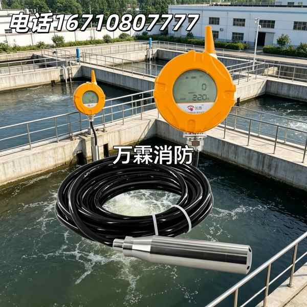 分体式无线液位计 分体式无线液位计