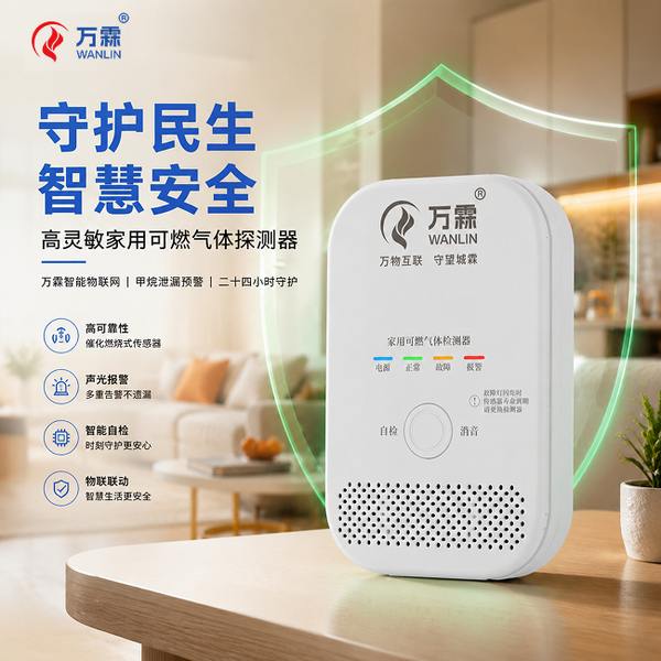 深圳农贸市场万霖厨房燃气报警器应用